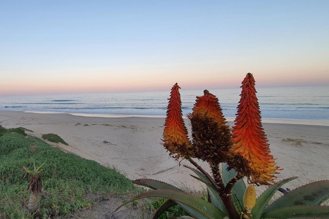 Paradise Found, Paradise Beach, Jeffreys Bay Esterno foto